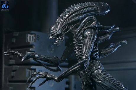 Aliens figurine Ultimate 40th Anniversary Warrior Xenomorph Black NECA