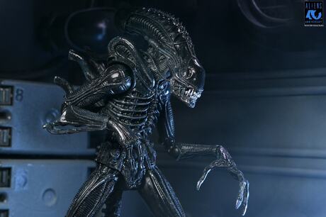 Aliens figurine Ultimate 40th Anniversary Warrior Xenomorph Black NECA