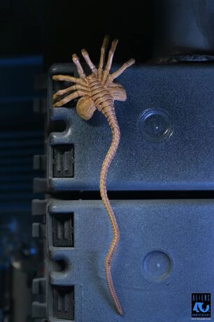 Aliens figurine Ultimate 40th Anniversary Warrior Xenomorph Black NECA