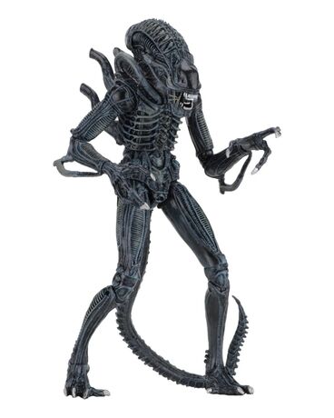 Aliens figurine Alien Warrior Blue 1986 Ultimate  NECA