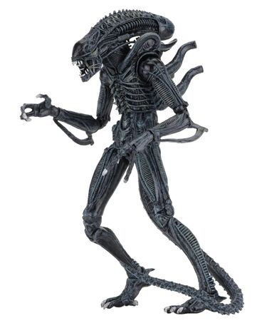 Aliens figurine Alien Warrior Blue 1986 Ultimate  NECA