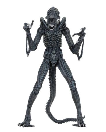 Aliens figurine Alien Warrior Blue 1986 Ultimate  NECA