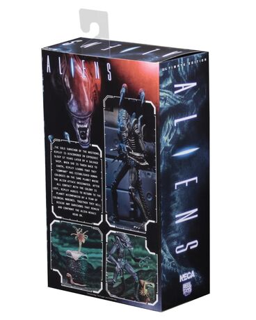 Aliens figurine Alien Warrior Blue 1986 Ultimate  NECA