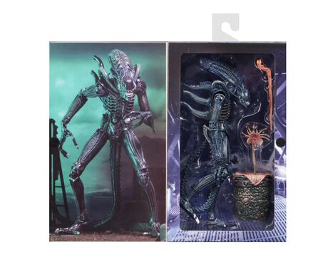 Aliens figurine Alien Warrior Blue 1986 Ultimate  NECA