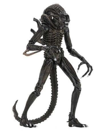 Aliens figurine Alien Warrior Brown 1986 Ultimate  NECA
