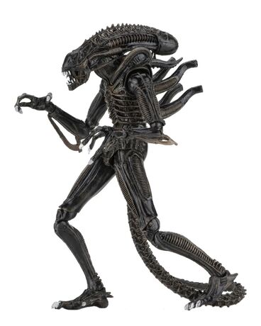 Aliens figurine Alien Warrior Brown 1986 Ultimate  NECA