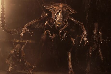 Aliens Alien Queen Resurrection Dlx Af NECA