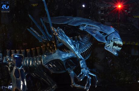 Aliens 40th Anniversary Alien Queen Ultra Deluxe Af NECA