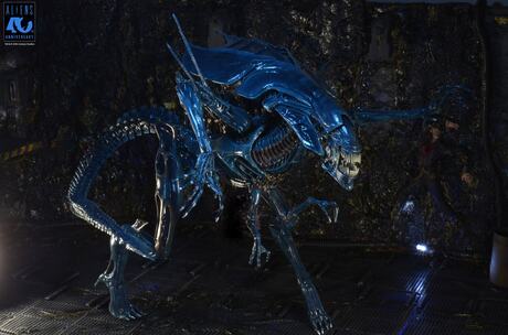 Aliens 40th Anniversary Alien Queen Ultra Deluxe Af NECA