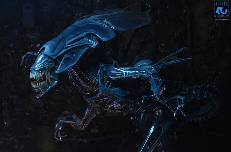 Aliens 40th Anniversary Alien Queen Ultra Deluxe Af NECA