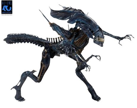 Aliens 40th Anniversary Alien Queen Ultra Deluxe Af NECA