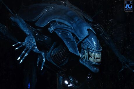 Aliens 40th Anniversary Alien Queen Ultra Deluxe Af NECA