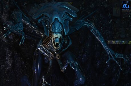 Aliens 40th Anniversary Alien Queen Ultra Deluxe Af NECA