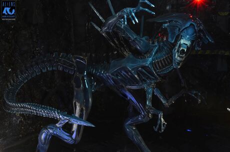 Aliens 40th Anniversary Alien Queen Ultra Deluxe Af NECA