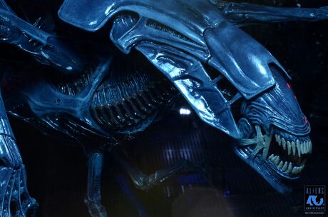 Aliens 40th Anniversary Alien Queen Ultra Deluxe Af NECA