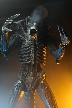 Alien Big Chap 1/4 Af NECA
