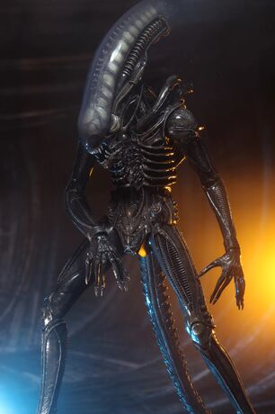 Alien Big Chap 1/4 Af NECA