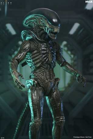 Alien: Earth Ultimate figurine Xenomorph NECA