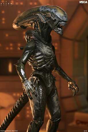 Alien: Earth Ultimate figurine Wendy's Xenomorph NECA