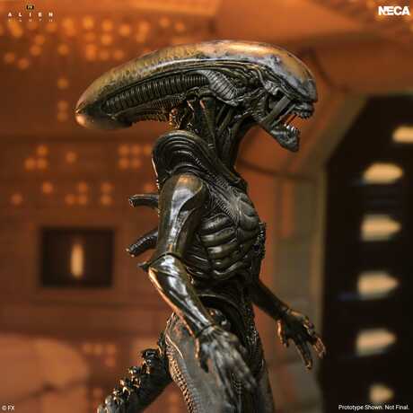 Alien: Earth Ultimate figurine Wendy's Xenomorph NECA