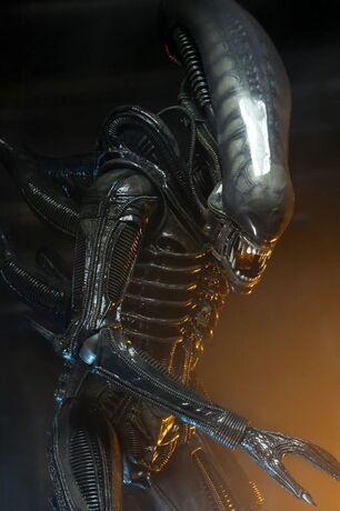 Alien Big Chap 1/4 Af NECA