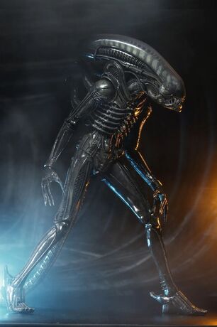 Alien Big Chap 1/4 Af NECA