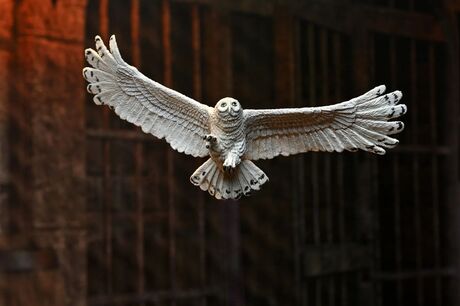 Harry Potter Legacy Collection Harry Potter Af NECA