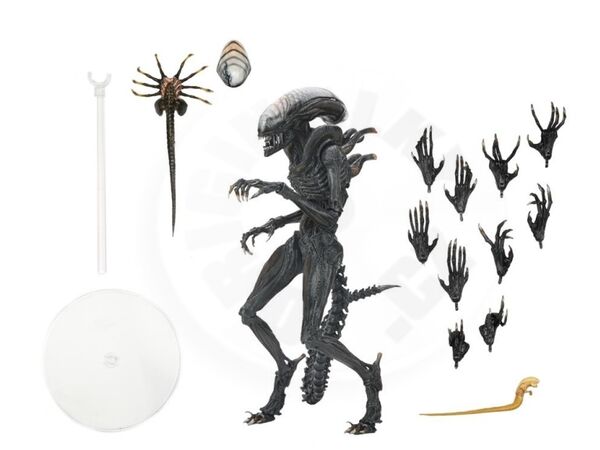 Alien: Romulus figurine Ultimate Scorched Xenomorph NECA