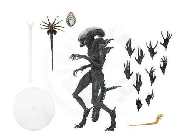 Alien: Romulus figurine Ultimate Scorched Xenomorph NECA