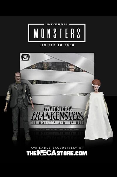 Universal Monsters 2 pack figurines Bride of Frankenstein 90th Anniversary The Monster & His Mate NECA