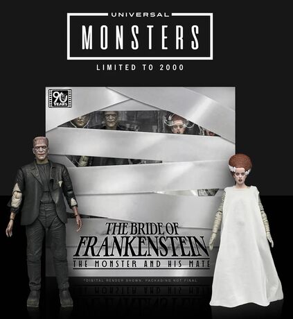 Universal Monsters 2 pack figurines Bride of Frankenstein 90th Anniversary The Monster & His Mate NECA