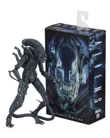 Aliens figurine Alien Warrior Blue 1986 Ultimate  NECA