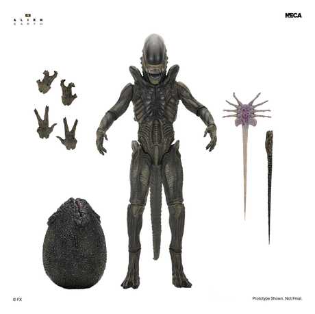 Alien: Earth Ultimate figurine Xenomorph NECA