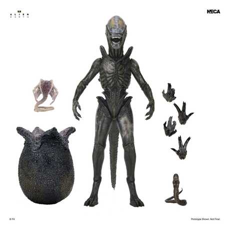 Alien: Earth Ultimate figurine Wendy's Xenomorph NECA