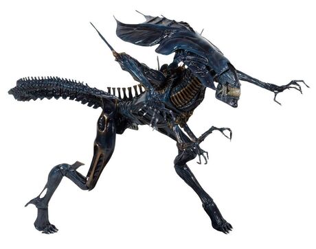 Aliens figurine Ultra Deluxe Alien Queen 38 cm NECA
