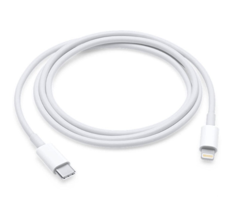 Câble USB Lightning blanc vers type-c iPhone iPad iPod Macbook