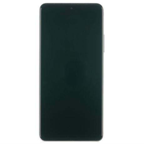 Écran AMOLED Reconditionné Xiaomi Mi 11i NOIR