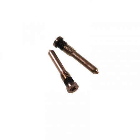 Kit de 2 Vis du Bas Pentalobe pour iPhone (X au 17 Pro Max) - Noir