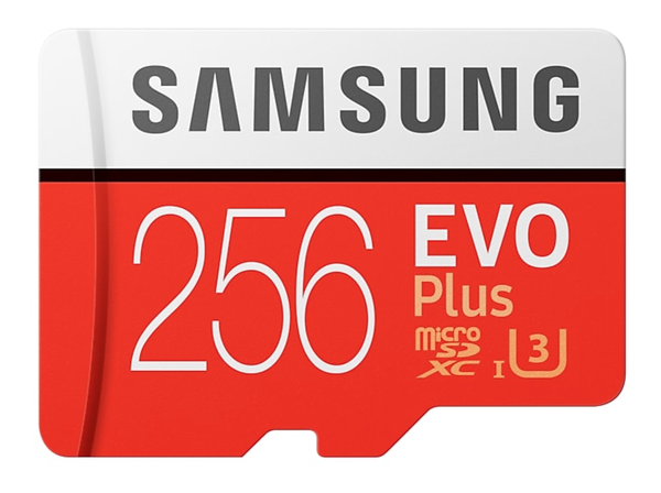 Carte Mémoire Micro-SD Samsung Evo+ 256Go