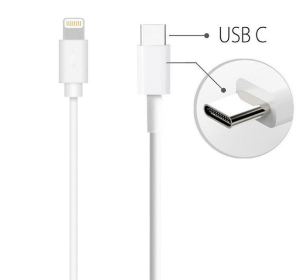 Câble USB Lightning blanc vers type-c iPhone iPad iPod Macbook