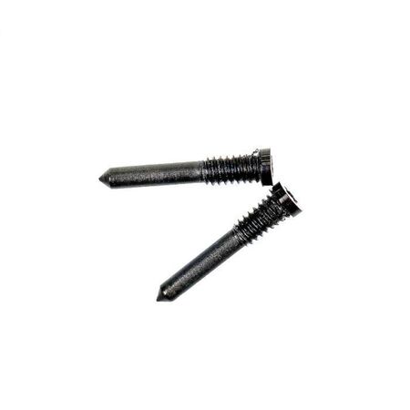 Kit de 2 Vis Pentalobe Inférieures pour iPhone (Noir)