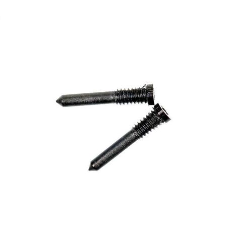 Kit de 2 Vis du Bas Pentalobe pour iPhone (X au 17 Pro Max) - Noir