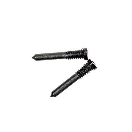 Kit de 2 Vis du Bas Pentalobe pour iPhone (X au 17 Pro Max) - Argent