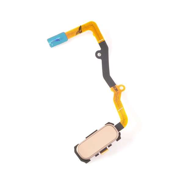 Nappe Menu Home + Bouton Samsung Galaxy S7 BLANC