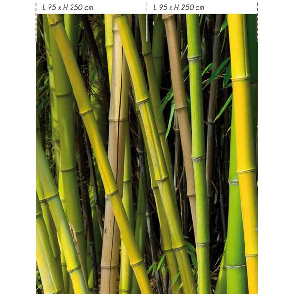 Papier peint bambou Papier peint original d coration Papier peint bambou Papier peint original d coration
