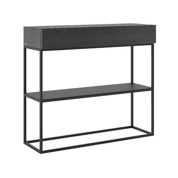 Console bois et métal noir