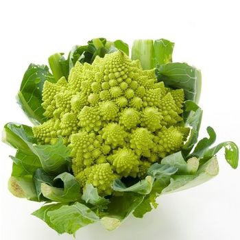 Chou Romanesco