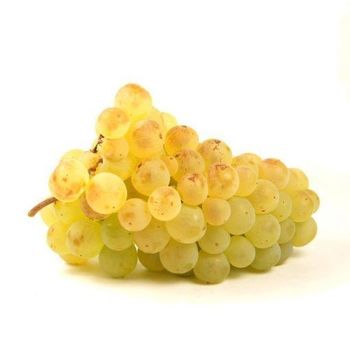 Raisin Chasselas