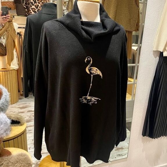 Pull Grande Taille Col Roulé