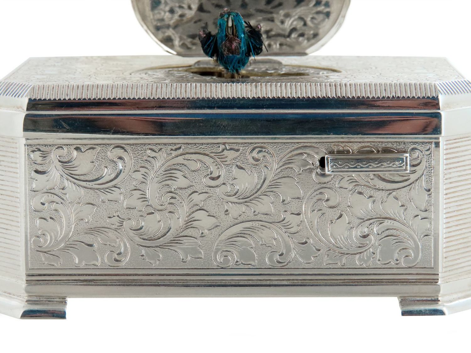 pdtimg_5146611hd.jpg?v=1715540531